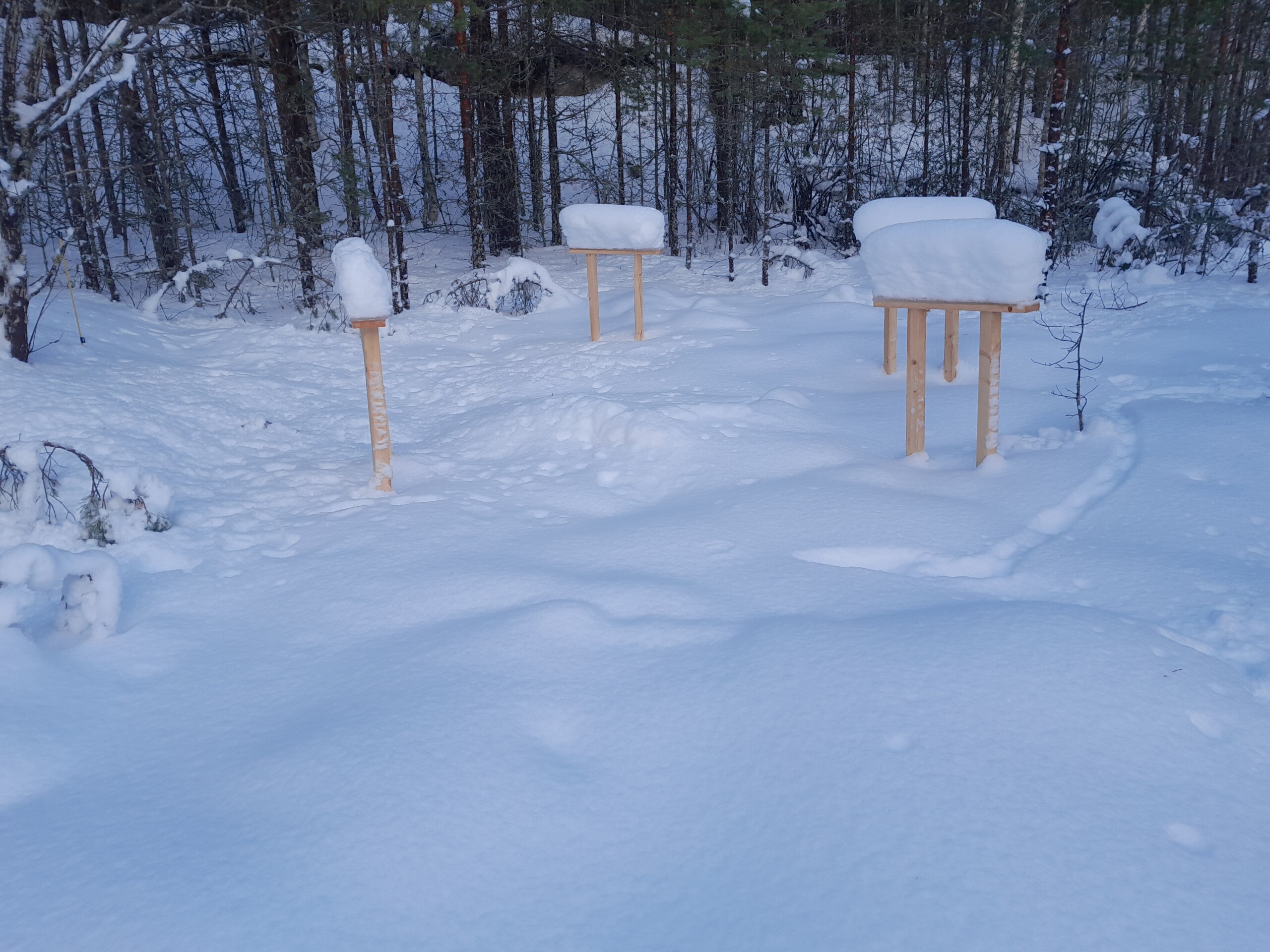 Työpöydällä kilpailukartan ja ratojen painoasu Jukola 2024