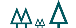 Simple illustration of six stylized evergreen trees in shades of blue and green, arranged in two groups on a white background, with wide space in the center.