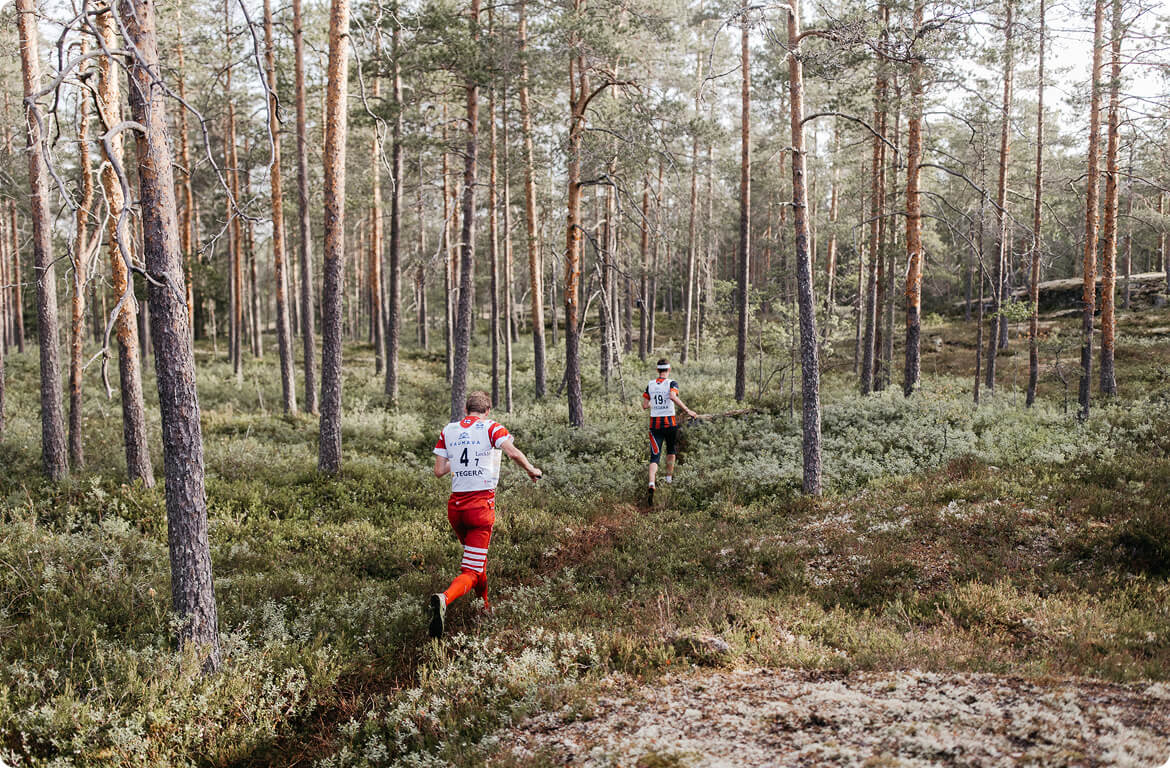 Two people wearing race bibs run through a dense forest with tall trees and green undergrowth, participating in an outdoor event, possibly an orienteering race.