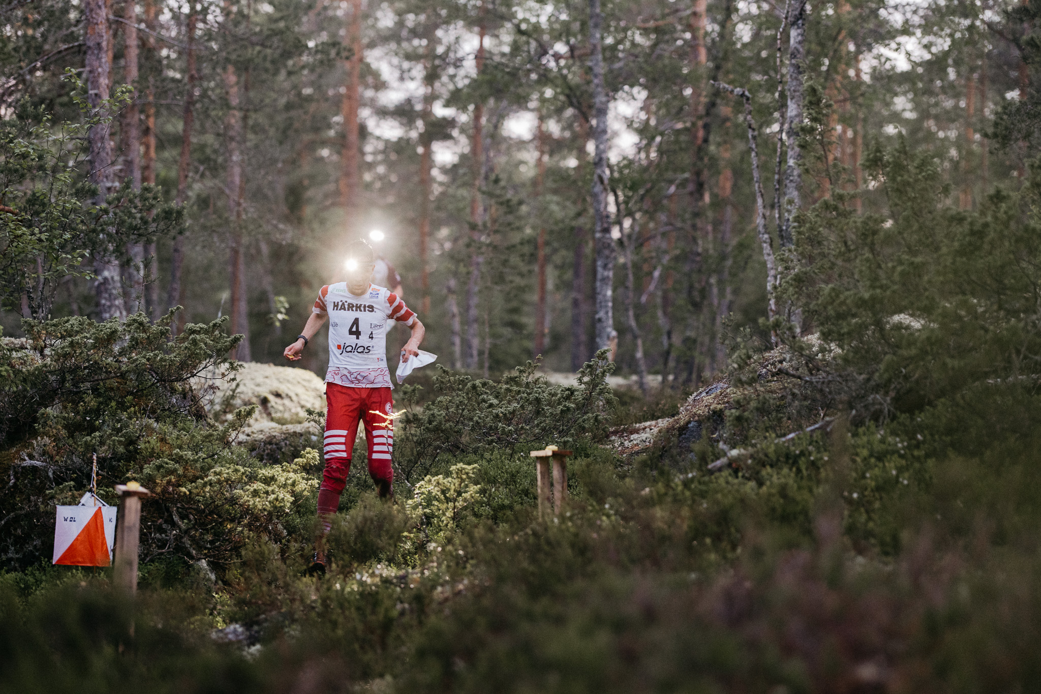 Otsalamppu ja urheiluvarusteet päässä oleva henkilö juoksee tiheän metsän läpi suunnistustapahtumassa, puiden välistä näkyvissä oranssivalkoinen rastimerkki.