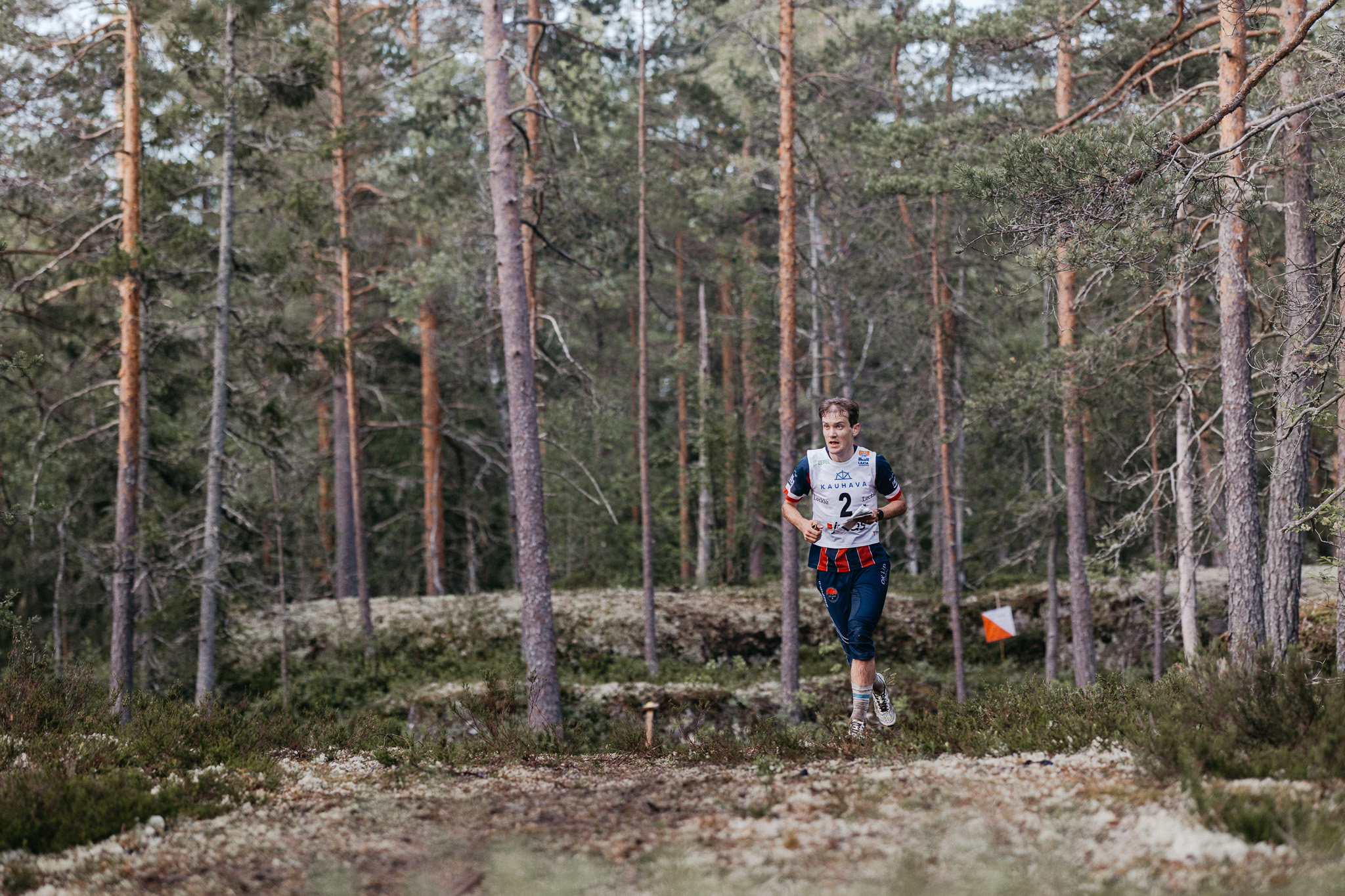 Numeroa 2 käyttävä henkilö juoksee tiheän metsän läpi suunnistustapahtumassa kartta kädessään. Taustalla puiden lomassa näkyy oranssi suunnistuslippu.