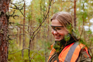 Tornator Kotka-Jukola 2026 -kumppanuus kestävässä metsätaloudessa