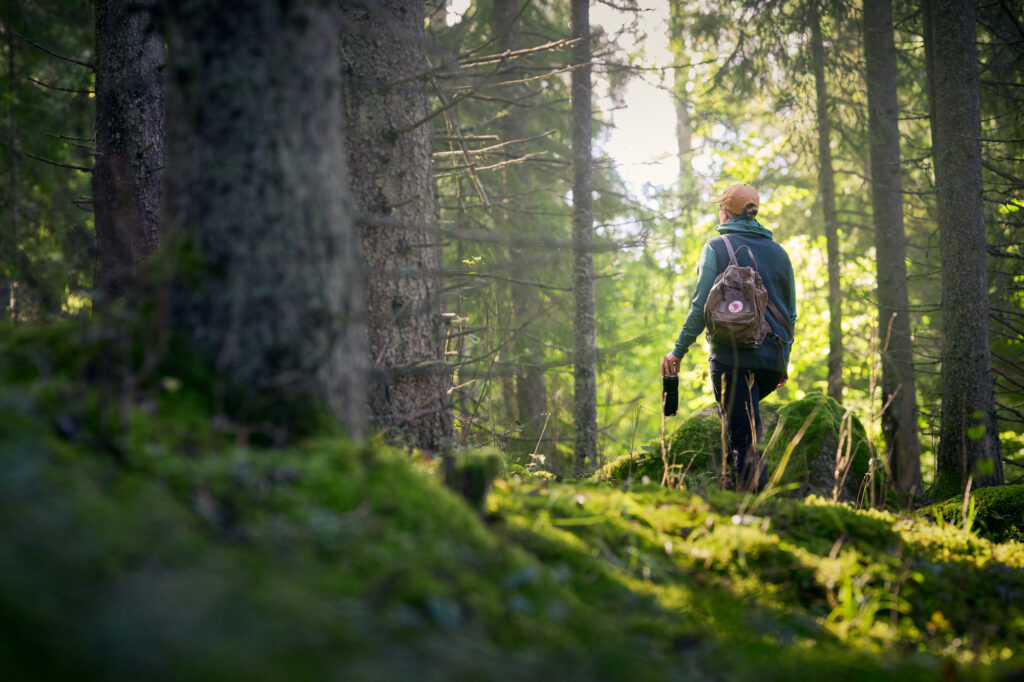 Nainen kävelee auringon paisteessa kohti auringonvaloa suomalaisessa metsässä