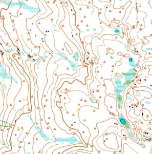 Maastokartta Puolangan Latvavaarassa. Kartalla on valkoisella pohjalla runsaasti korkeuskäyriä, muutamia sinisiä suoalueita sekä paljon ruskeita kolmioita, jotka kertovat muurahaispesistä.