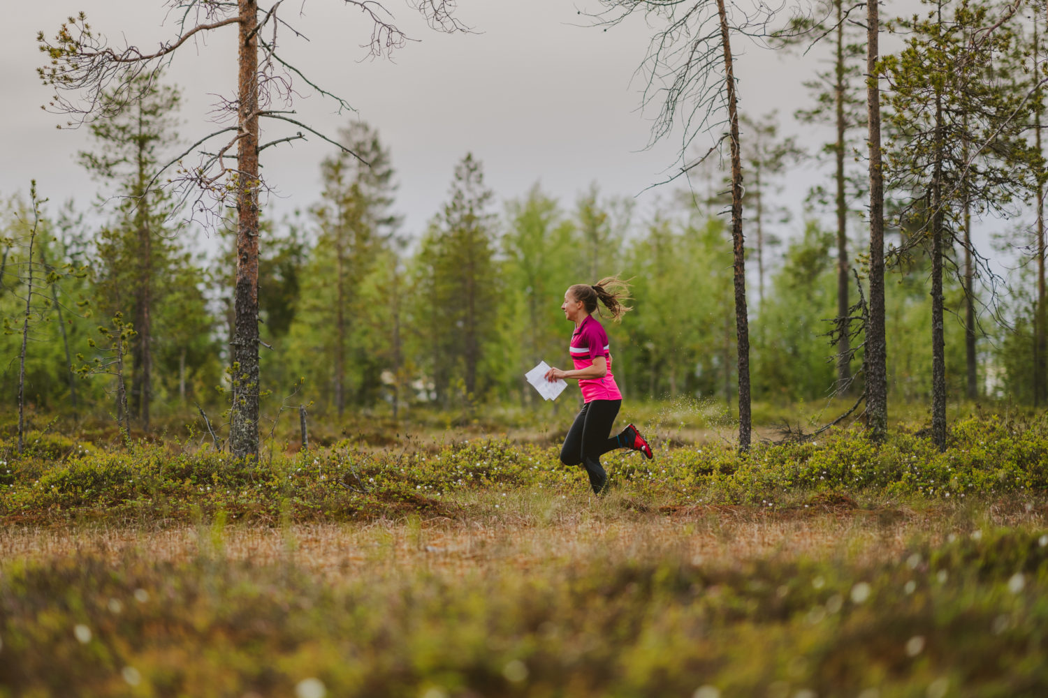 Napapiiri-Jukola 2020 Rovaniemi