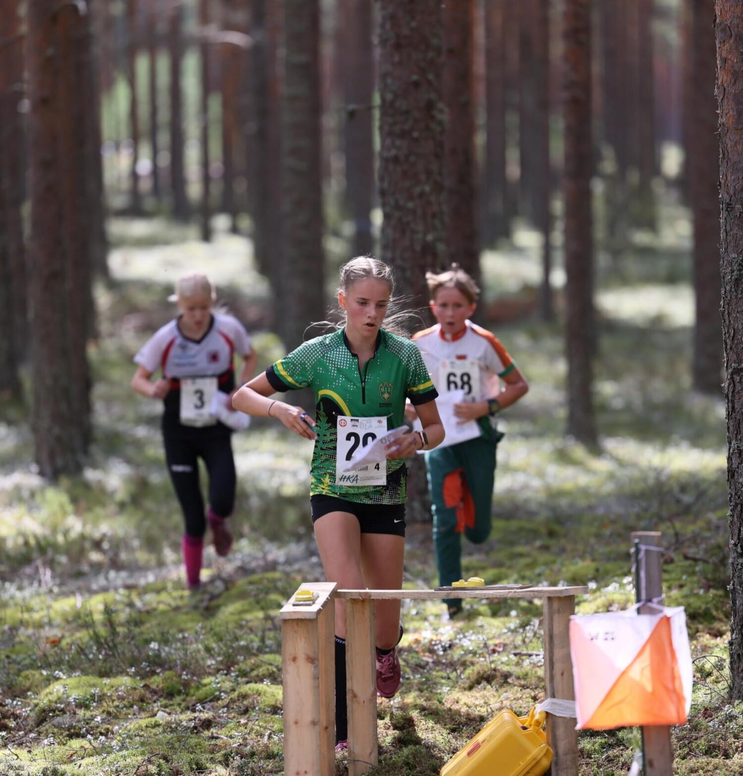 Suunnistajia tulossa rastille metsässä